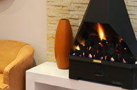 free gas fireplace prices